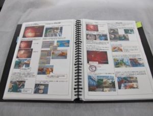 脊椎内視鏡下手技書